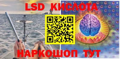 крисы Донской