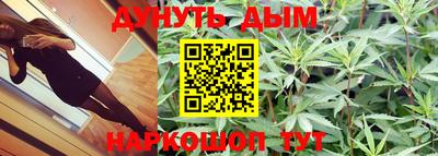 крисы Донской