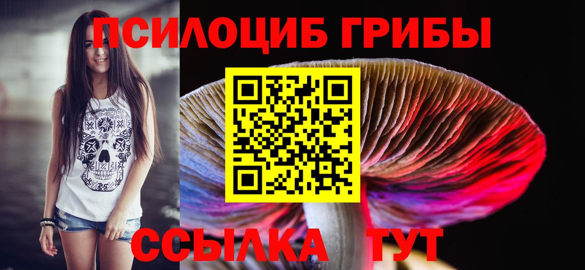 Галлюциногенные грибы Cubensis Менделеевск
